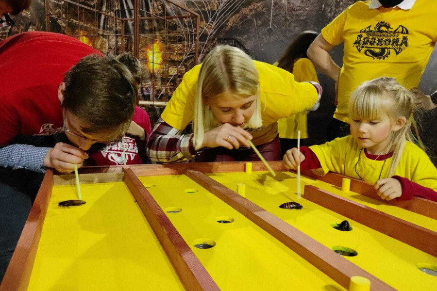 Квест в реальности Подземелье дракона 2.0 от компании Подземелье дракона Квест в реальности Подземелье дракона 2.0 от компании Подземелье дракона